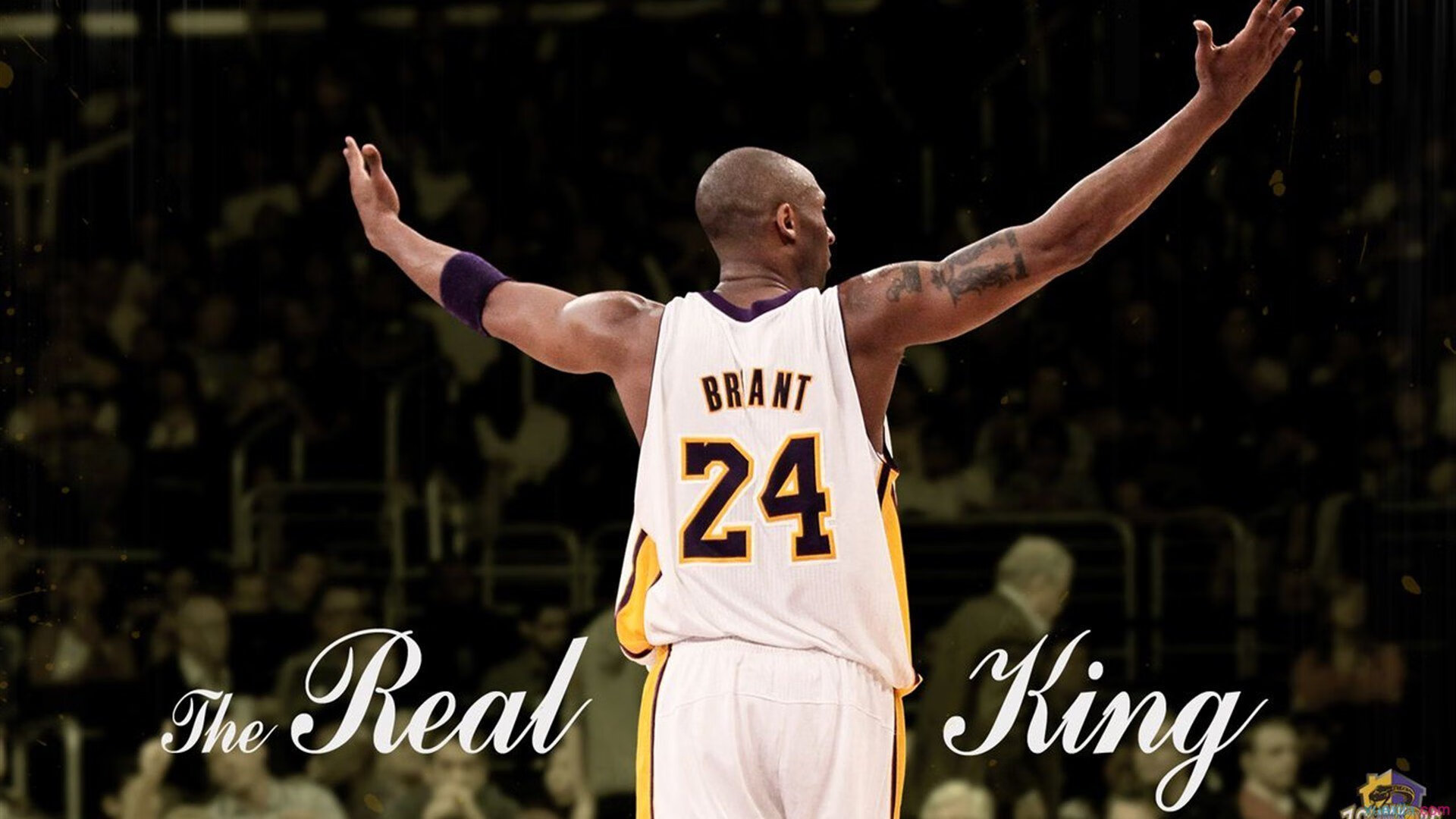 国王队终结新疆队连胜神话，武切维奇独揽40+20刷新历史纪录